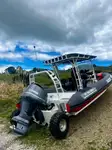 Anfibio in vendita