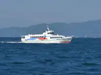 Traghetto in vendita