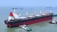 Portarinfuse in vendita