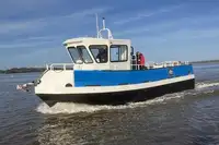 Barche da lavoro in vendita