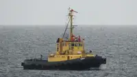 Rimorchiatore in vendita