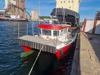 Catamarano in vendita