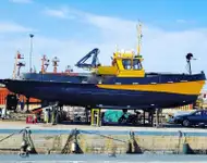Barche da lavoro in vendita