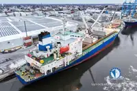 Nave reefer in vendita