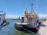 Nave con palangari in vendita