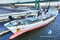 Nave reefer in vendita