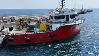 Barche da lavoro in vendita