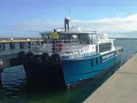 Catamarano in vendita