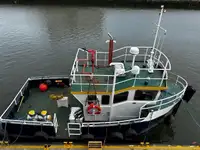Barche da lavoro in vendita