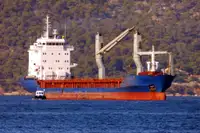 Portarinfuse in vendita