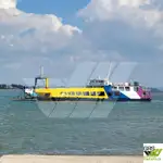 Mezzo da sbarco, carro armato in vendita