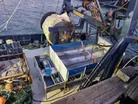 Rottami metallici in vendita