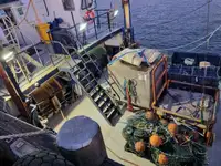 Rottami metallici in vendita