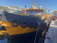 Barche da lavoro in vendita