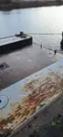 draga in vendita