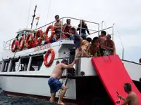 Supporto per le immersioni in vendita