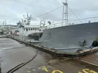 Nave con palangari in vendita