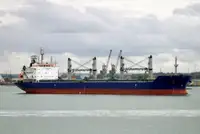 Portarinfuse in vendita