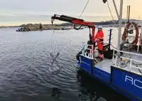 nave da ricognizione in vendita