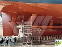 Nave da crociera in vendita