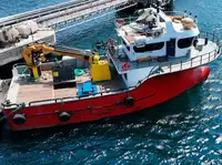 Barche da lavoro in vendita