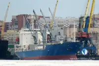 Nave reefer in vendita
