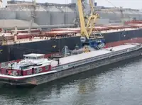 Portarinfuse in vendita