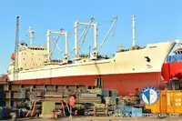 Nave reefer in vendita