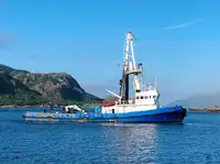 Rimorchiatore in vendita