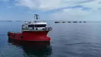 Barche da lavoro in vendita