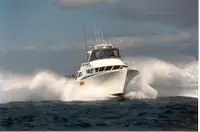 Barche da lavoro in vendita