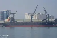 Portarinfuse in vendita