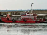 Barche da lavoro in vendita