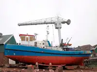 Barche da lavoro in vendita