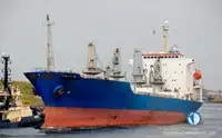 Nave reefer in vendita