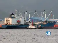 Nave reefer in vendita
