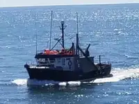 Nave con palangari in vendita