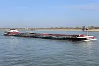 Portarinfuse in vendita
