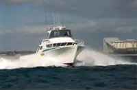 Barche da lavoro in vendita