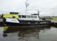 Barche da lavoro in vendita